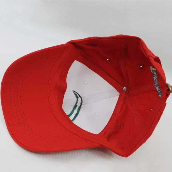 Pokemon Go Ash Ketchum Solid Cap – Pokemon Go Essentials